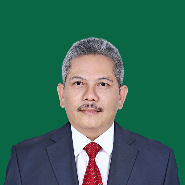 H.E. Mr. Rizal Sukma